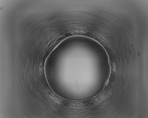 X0000067000915200603311610