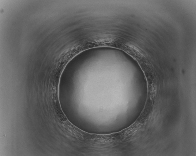 X0000067000917200603311610