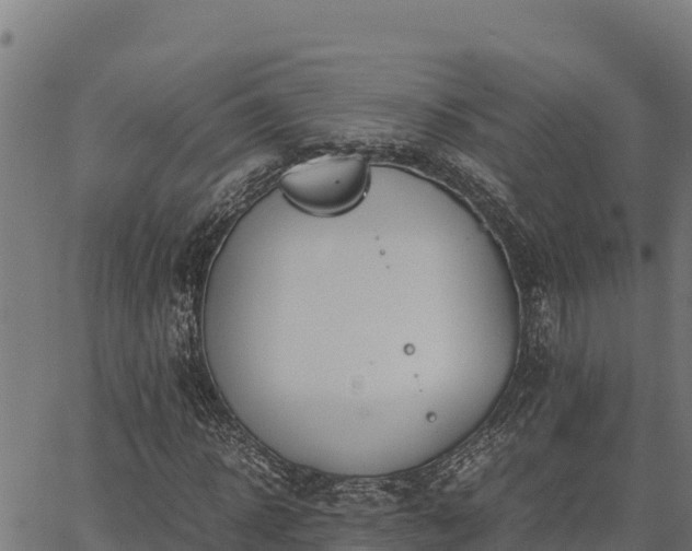 X0000067000918200603311610