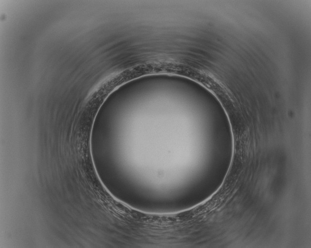 X0000067000919200603311610