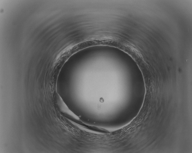 X0000067000920200603311610