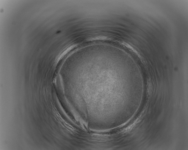 X0000067000921200603311610