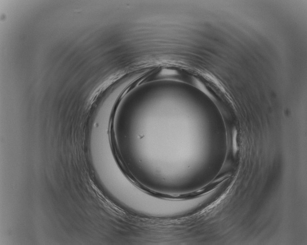 X0000067000922200603311610