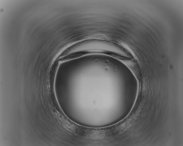 X0000067000923200603311610