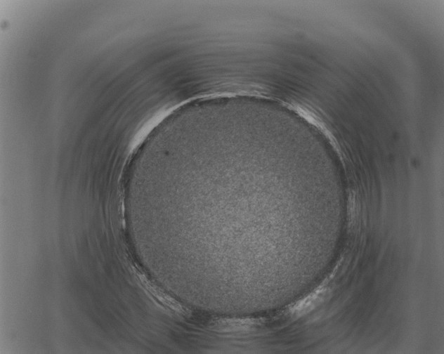 X0000067000925200603311610