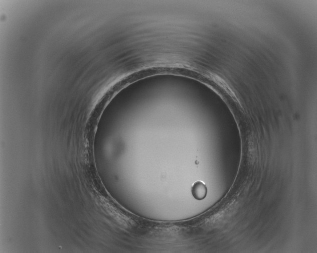 X0000067000926200603311610