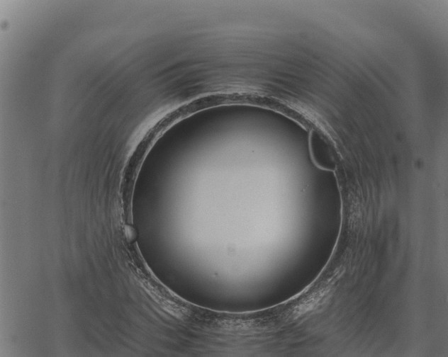 X0000067000927200603311610