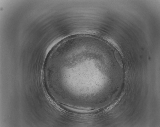 X0000067000928200603311610