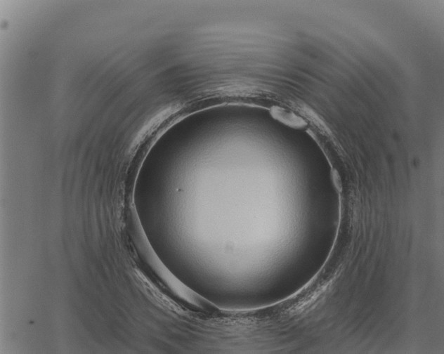 X0000067000930200603311610