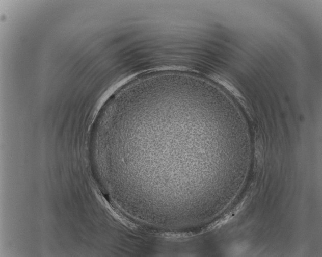 X0000067000933200603311611