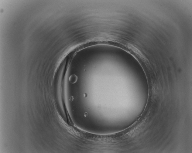 X0000067000934200603311611