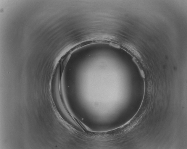 X0000067000936200603311611