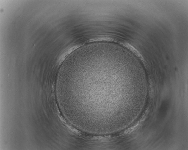 X0000067000937200603311611