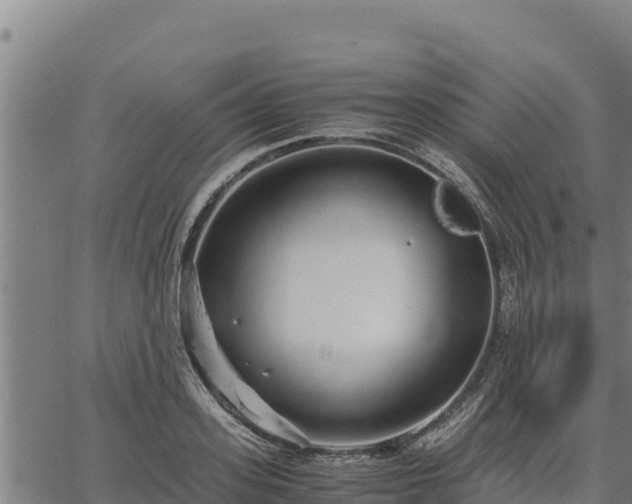 X0000067000939200603311611