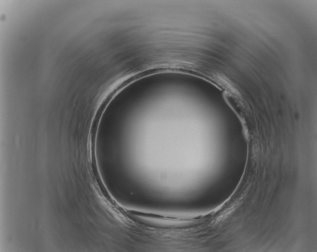 X0000067000940200603311611