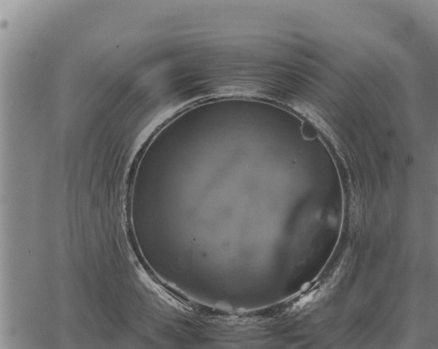 X0000067000941200603311611