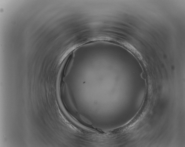 X0000067000945200603311611