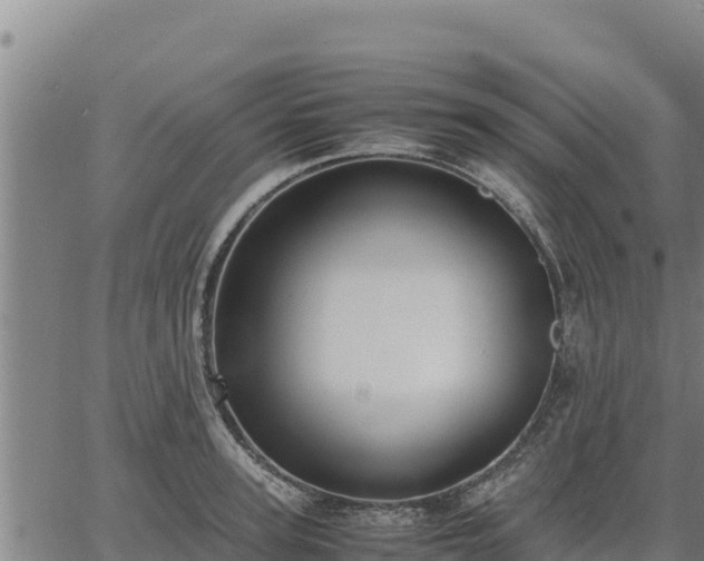 X0000067000947200603311611