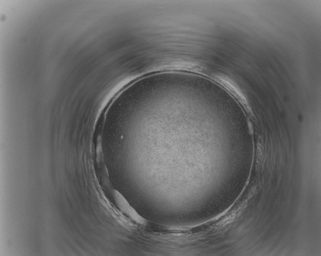 X0000067000948200603311611