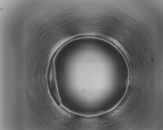 X0000067000951200603311611