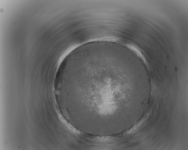 X0000067000952200603311611