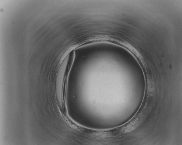 X0000067000953200603311611