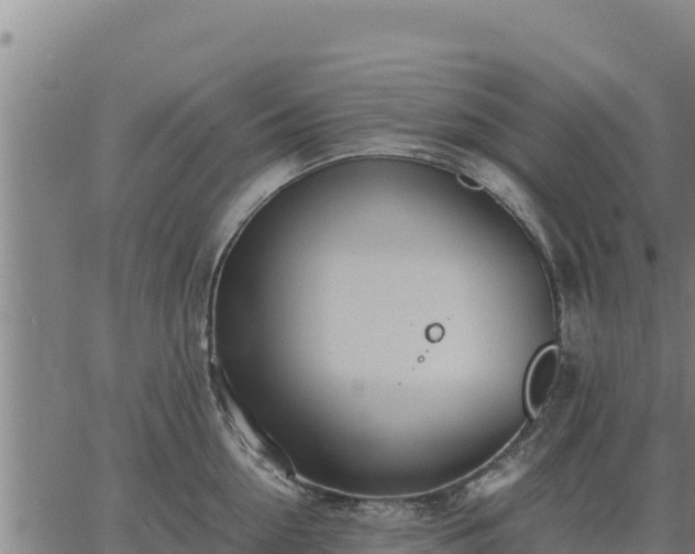 X0000067000954200603311611