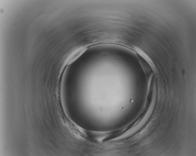 X0000067000956200603311611