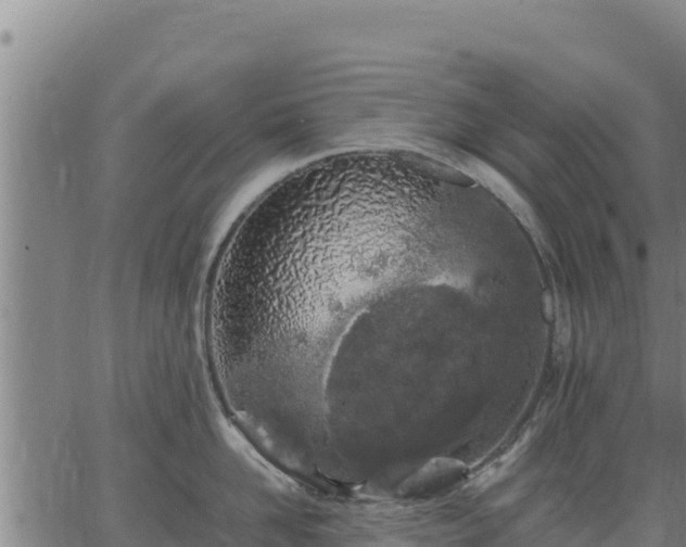 X0000067000958200603311611