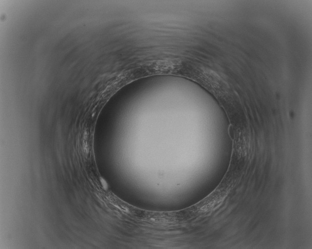 X0000067000962200603311610