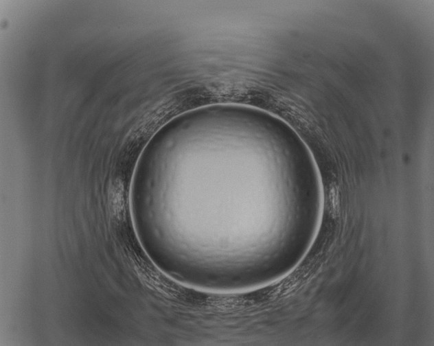 X0000067000963200603311610