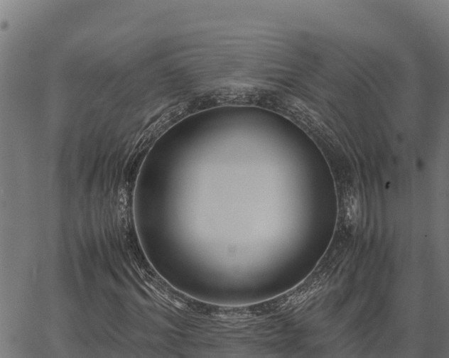 X0000067000964200603311610