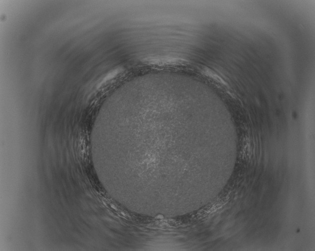 X0000067000966200603311610