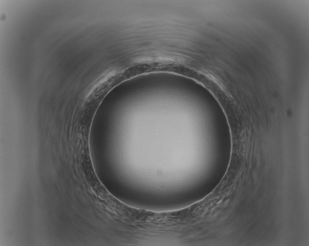 X0000067000967200603311610