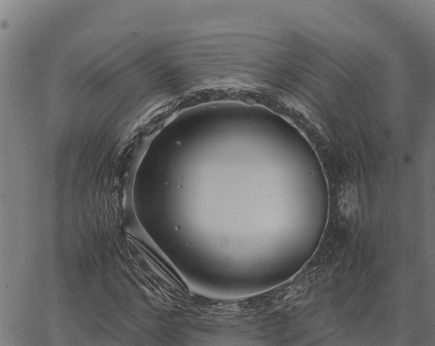 X0000067000968200603311610