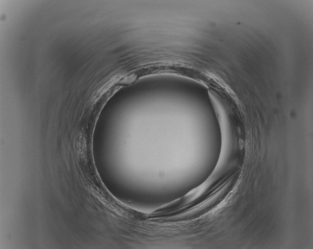 X0000067000969200603311610