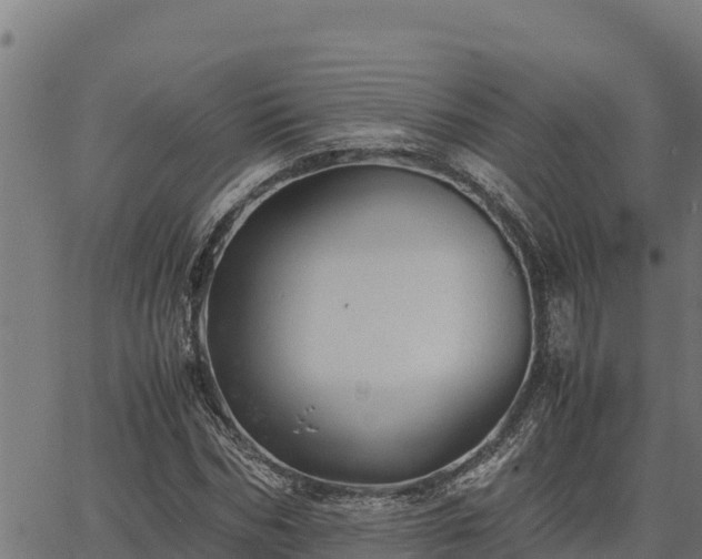 X0000067000970200603311610