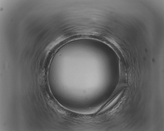 X0000067000971200603311610