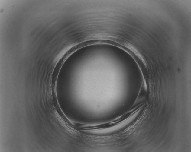 X0000067000972200603311610