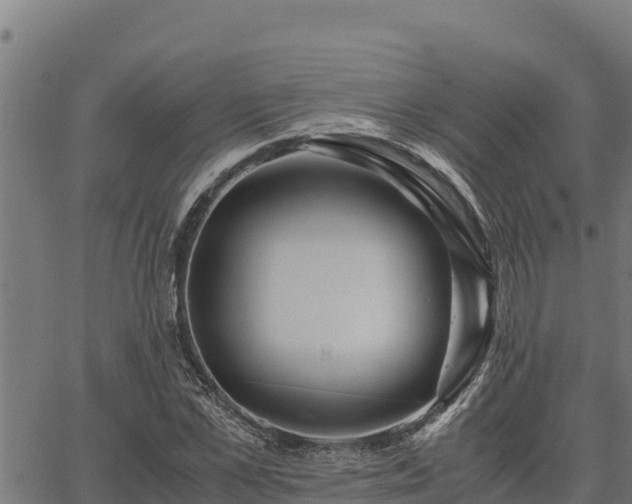 X0000067000973200603311610