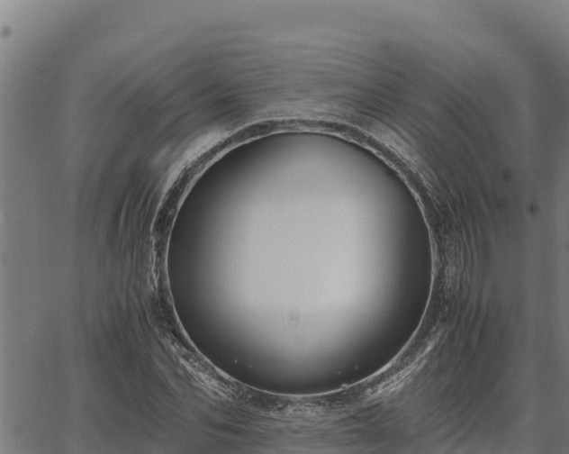 X0000067000974200603311610