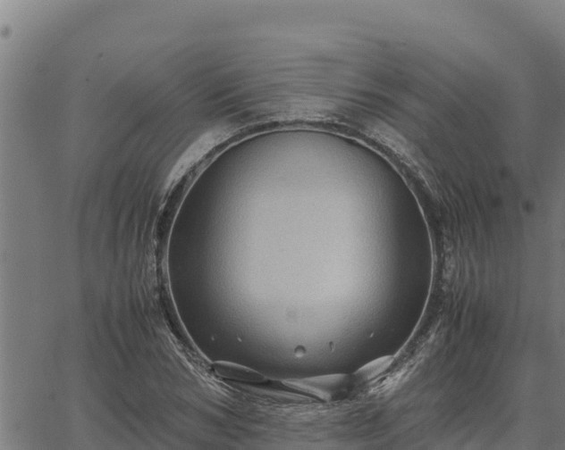 X0000067000978200603311610