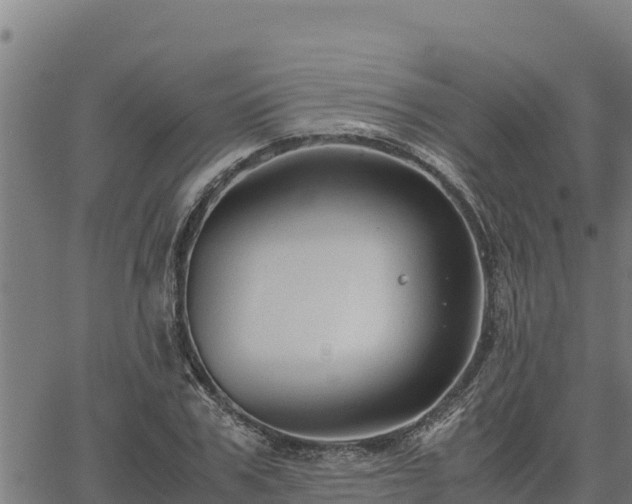 X0000067000979200603311610