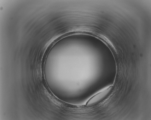 X0000067000980200603311610