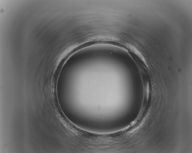 X0000067000981200603311610