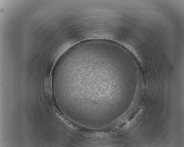 X0000067000982200603311610