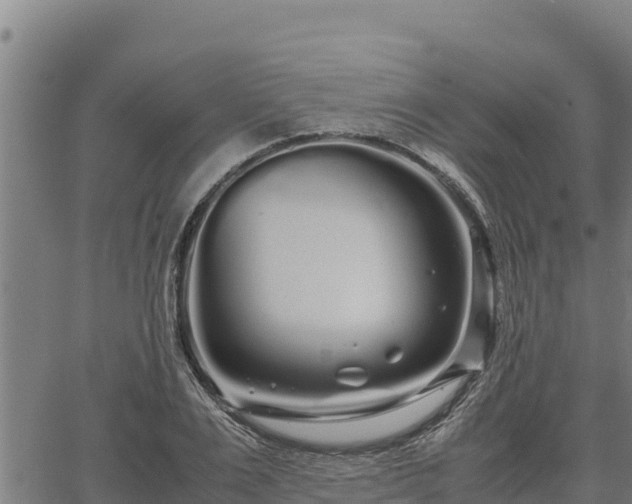 X0000067000983200603311610