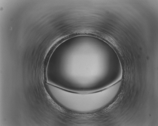 X0000067000984200603311610