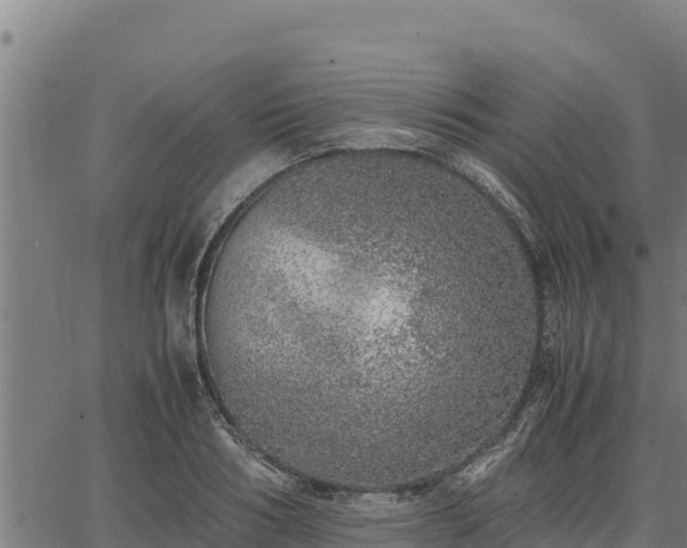 X0000067000986200603311610