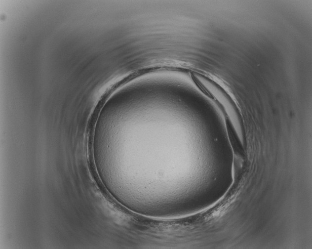 X0000067000987200603311610